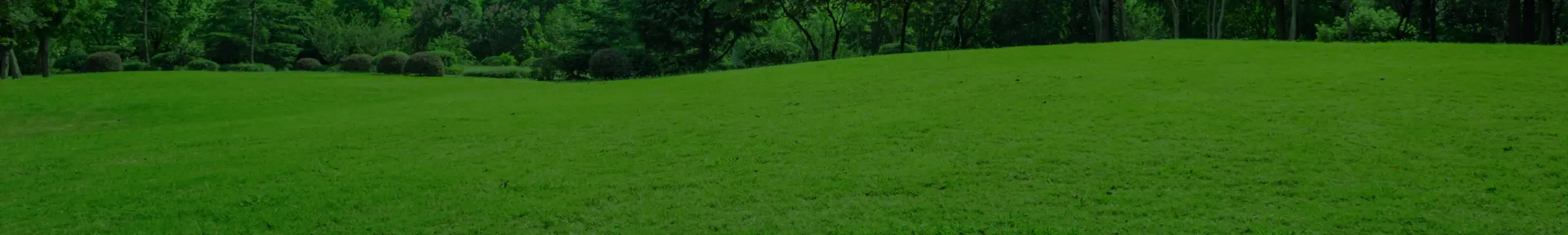 ศูนย์ช่วยเหลือ