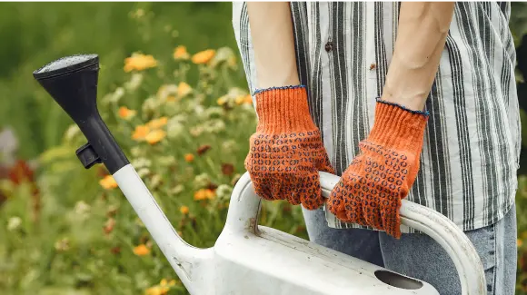  No more problems with garden care.