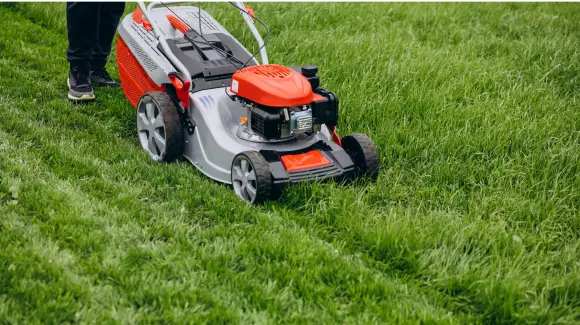  No more problems with garden care.