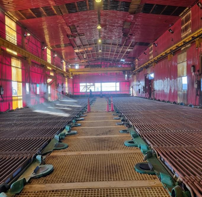 Nave industrial con tratamiento anticorrosivo aplicado, trabajadores en terreno al fondo