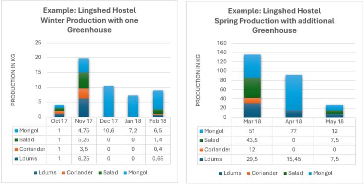 Two bar charts showing Lingshed Hostel vegetable production during winter with one greenhouse and spring with an additional greenhouse, comparing Mongol, salad, coriander, and ldums.