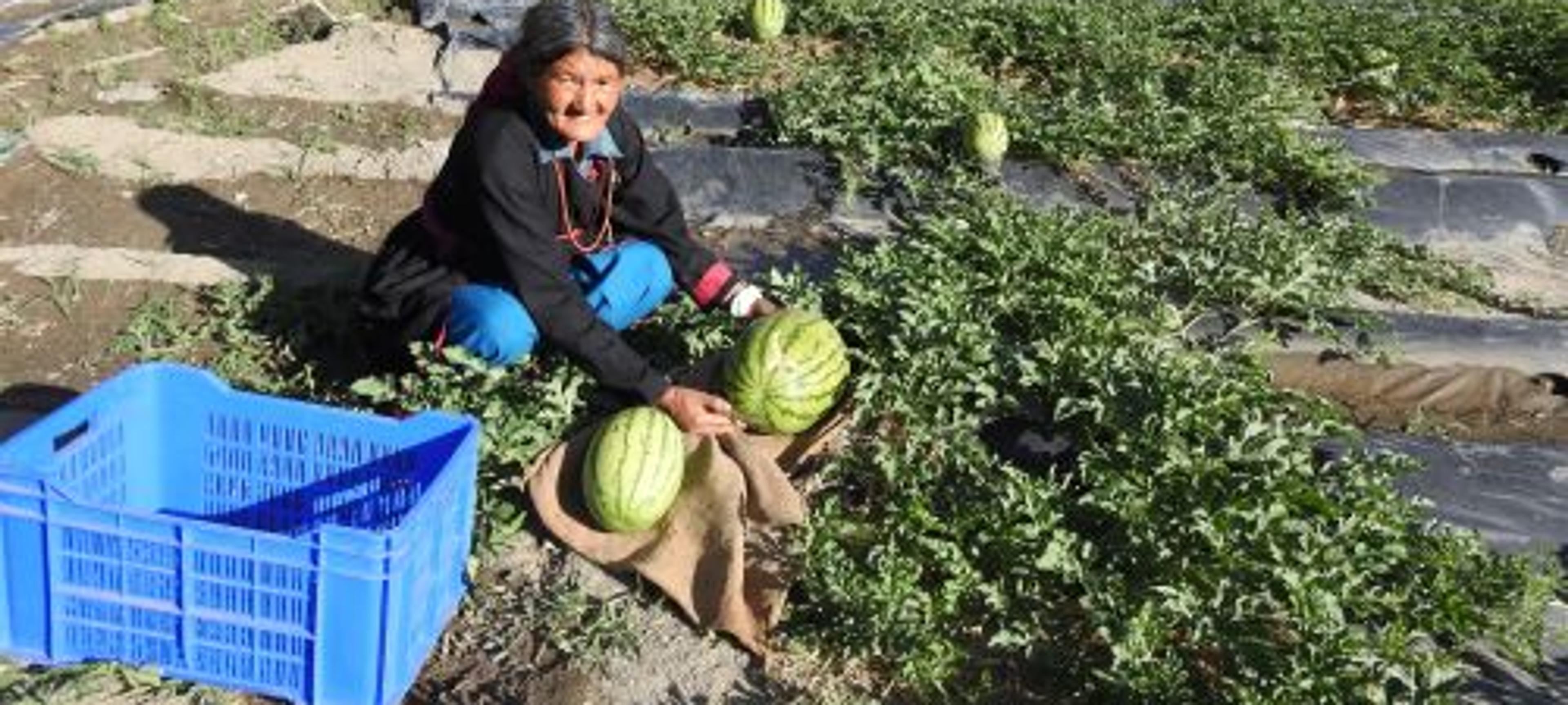 Sustainable Livelihood Development Programme