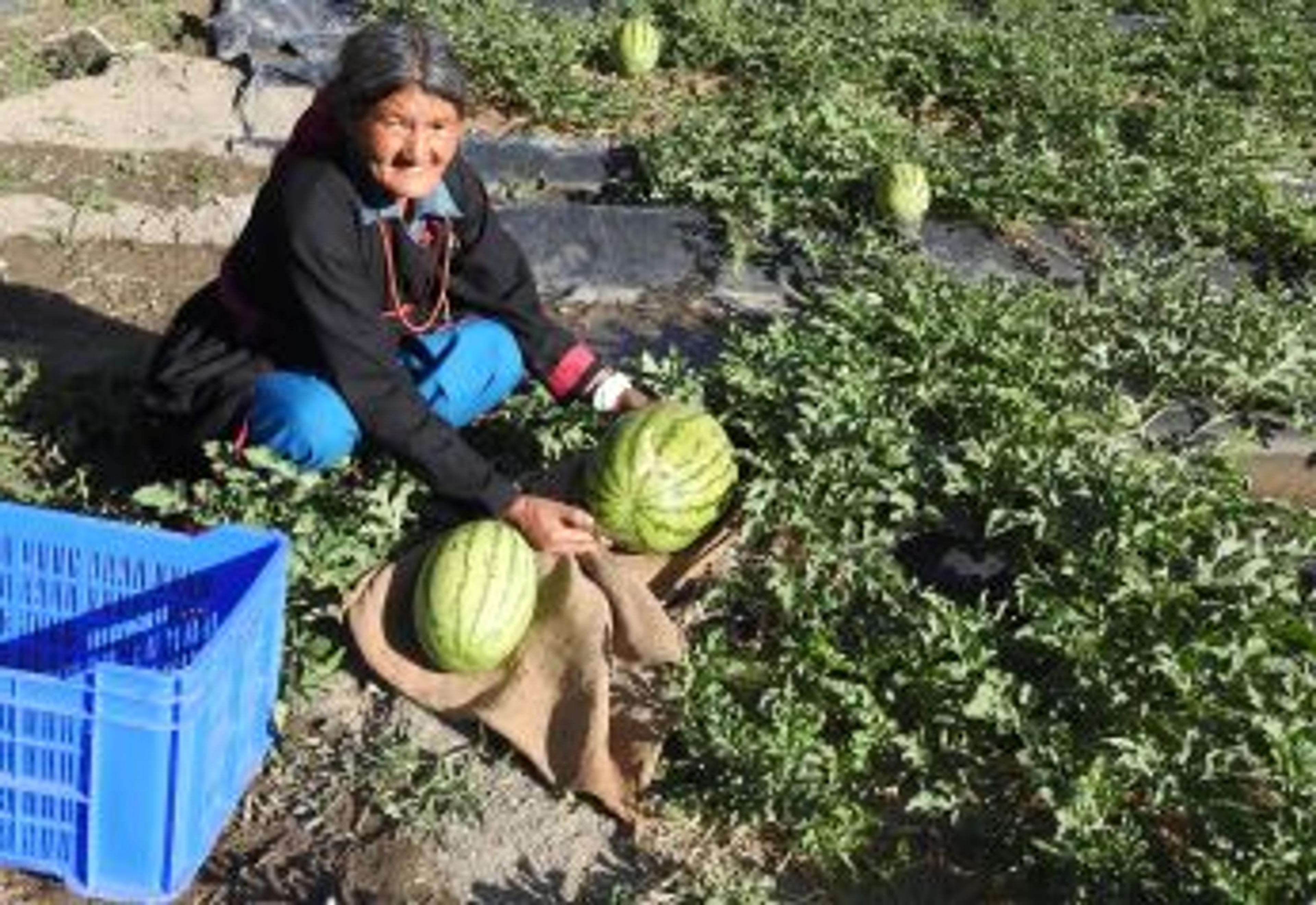 Sustainable Livelihood Development Programme