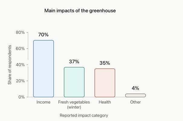 Bar chart showing the main reported impacts of the greenhouse: income 70%, fresh vegetables in winter 37%, health 35%, and other impacts 4%.