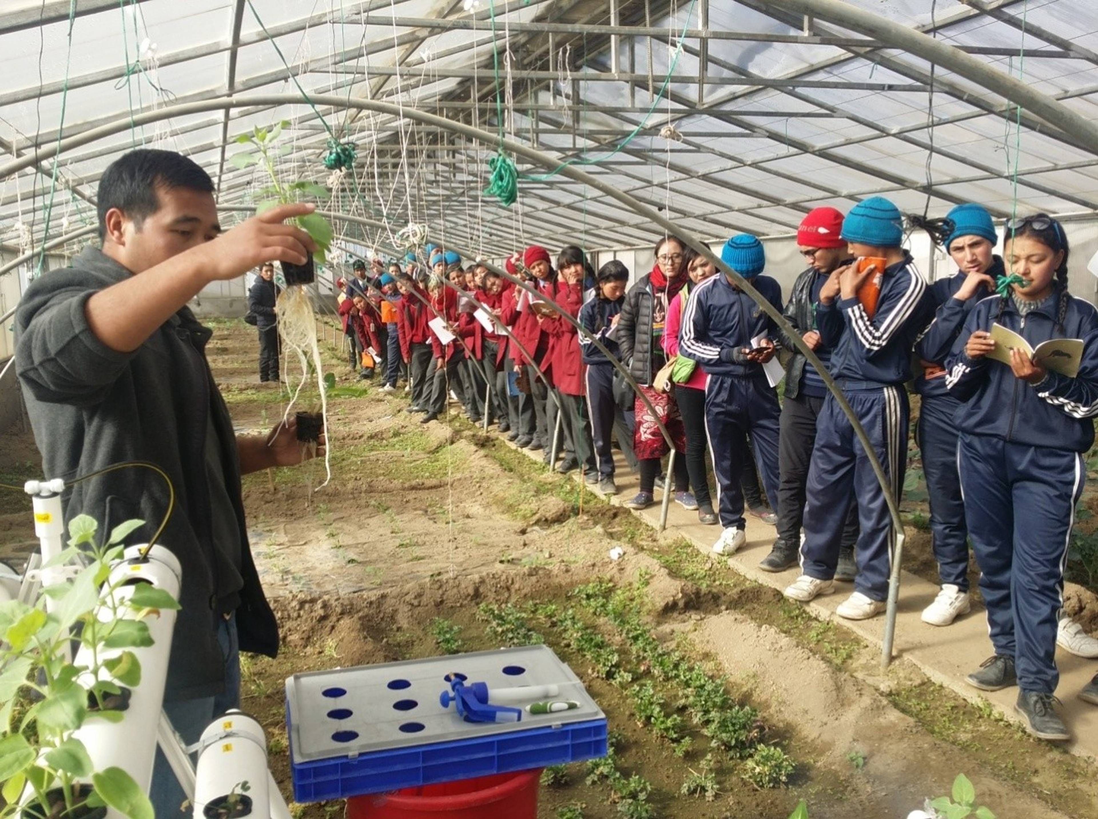 A LEHO team member demonstrates a hydroponic growing system to students at Lamdon School, part of the School Greenhouse Initiative.