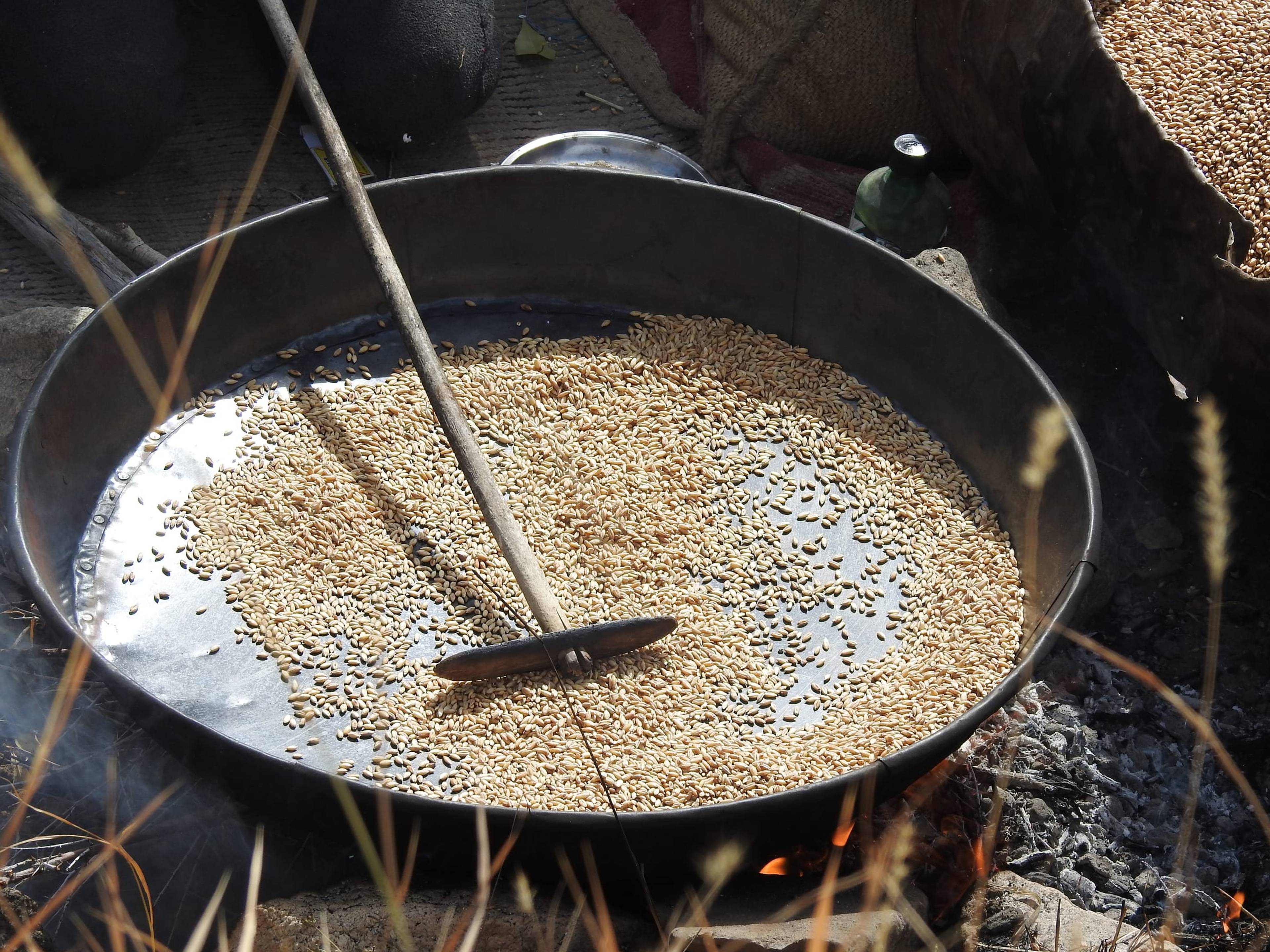 Barley grains being roasted over an open fire in a traditional metal pan, the first step in making Ladakhi ngamphe (roasted barley flour).