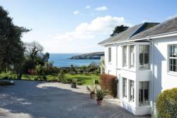 Dog Friendly Hotels | Dog-friendly rooms to book