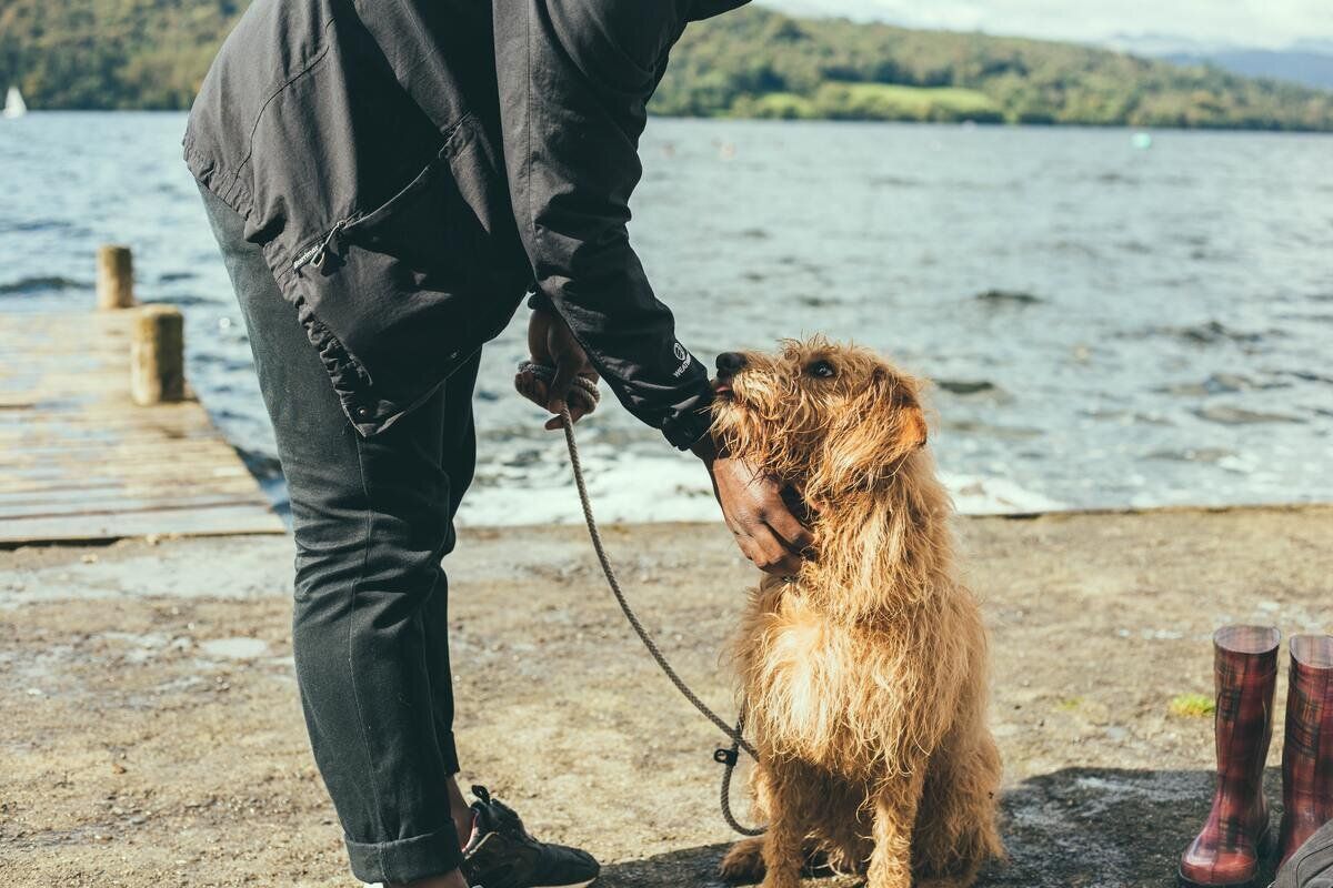 Dog Friendly Hotels Lake District | Big Range