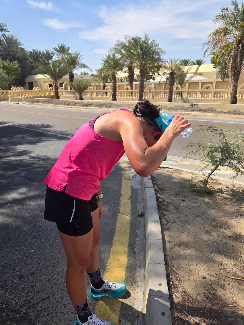 Training in the heat- What actually matters