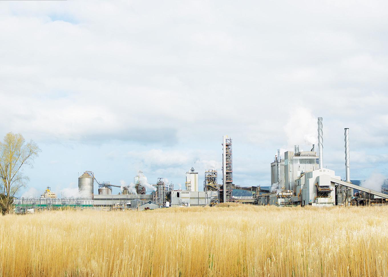 Paper Mill