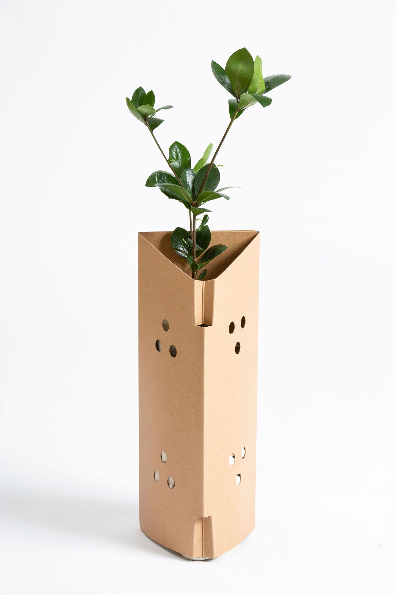 Specialty Boards Plant