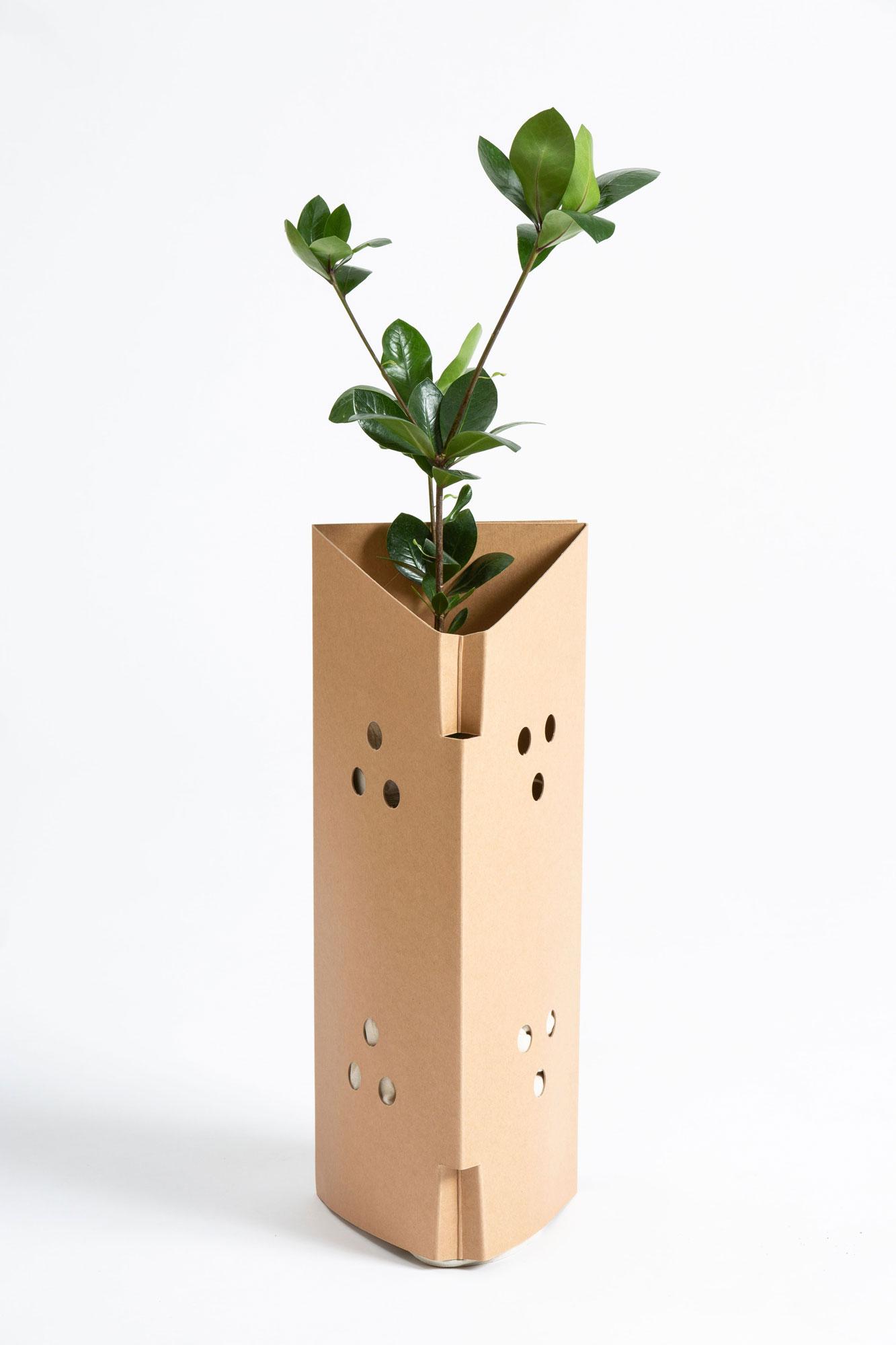 Specialty Boards Plant