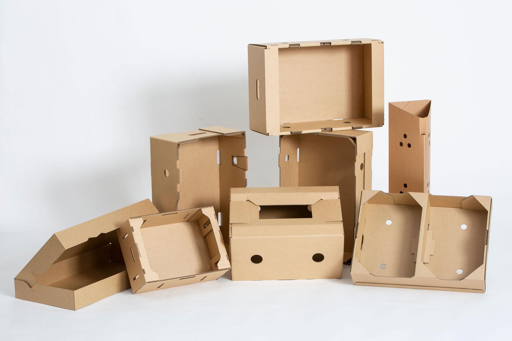 Cardboard Packaging