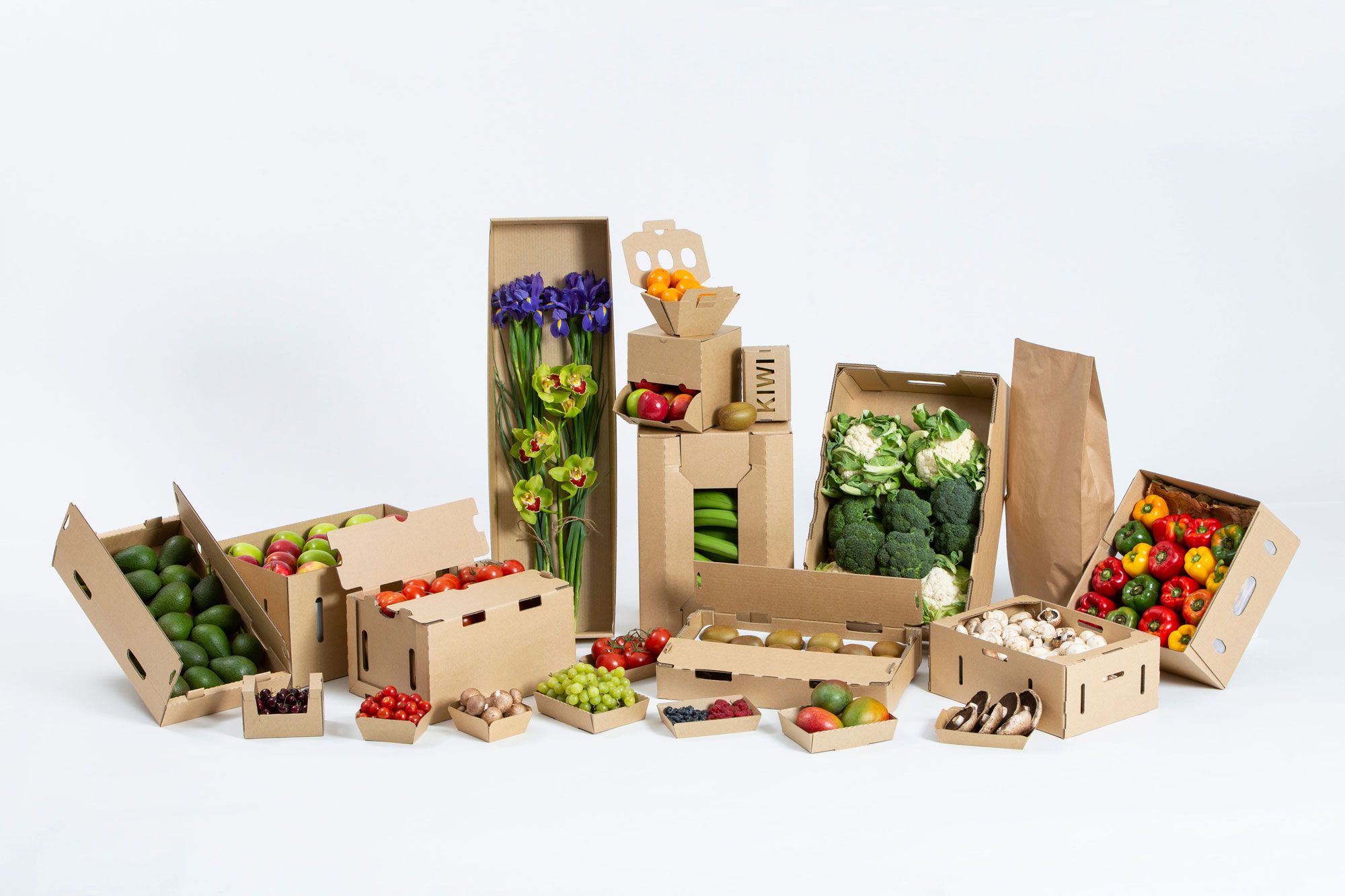 Cardboard Packaging Horticulture