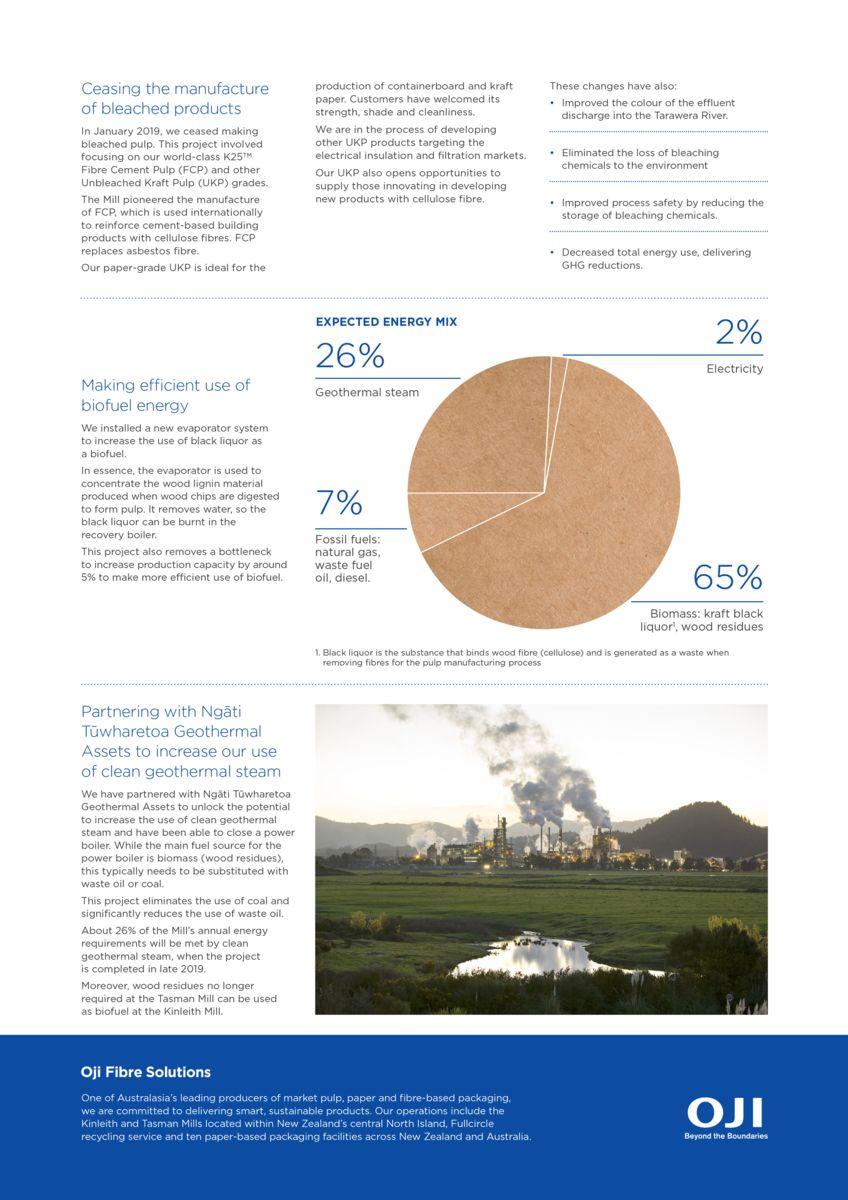 ojifs carbon reduction case study_tasman mill