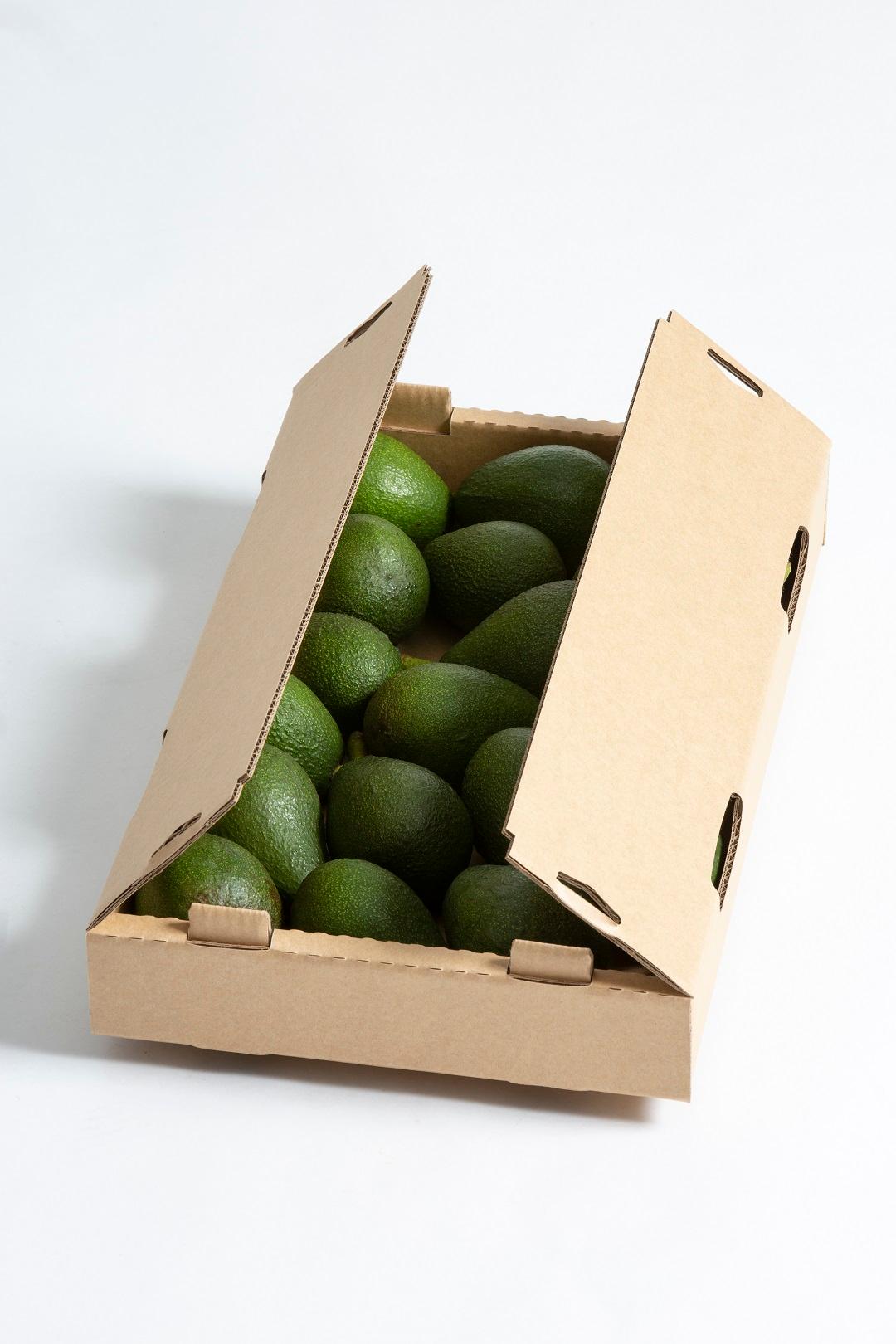Cardboard packaging for vegetables
