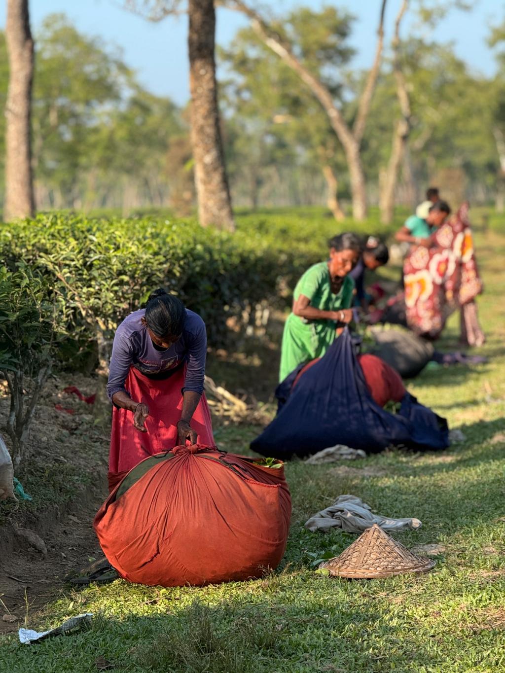 women holding bags
