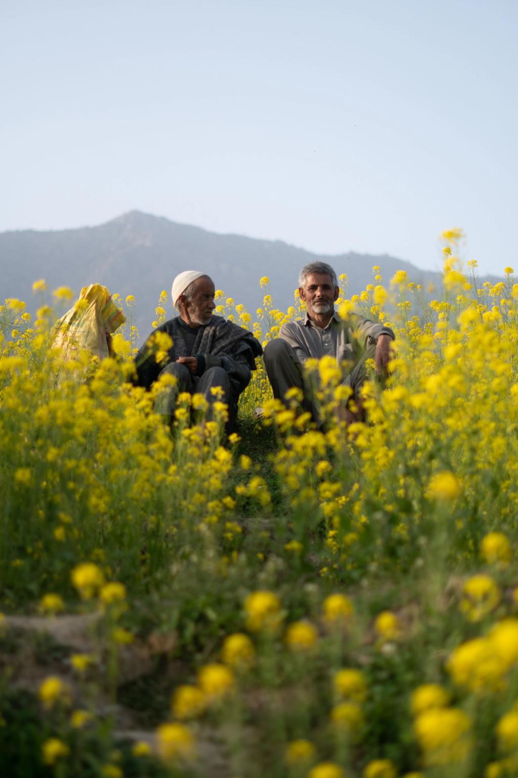 Two men in a field in pakistan