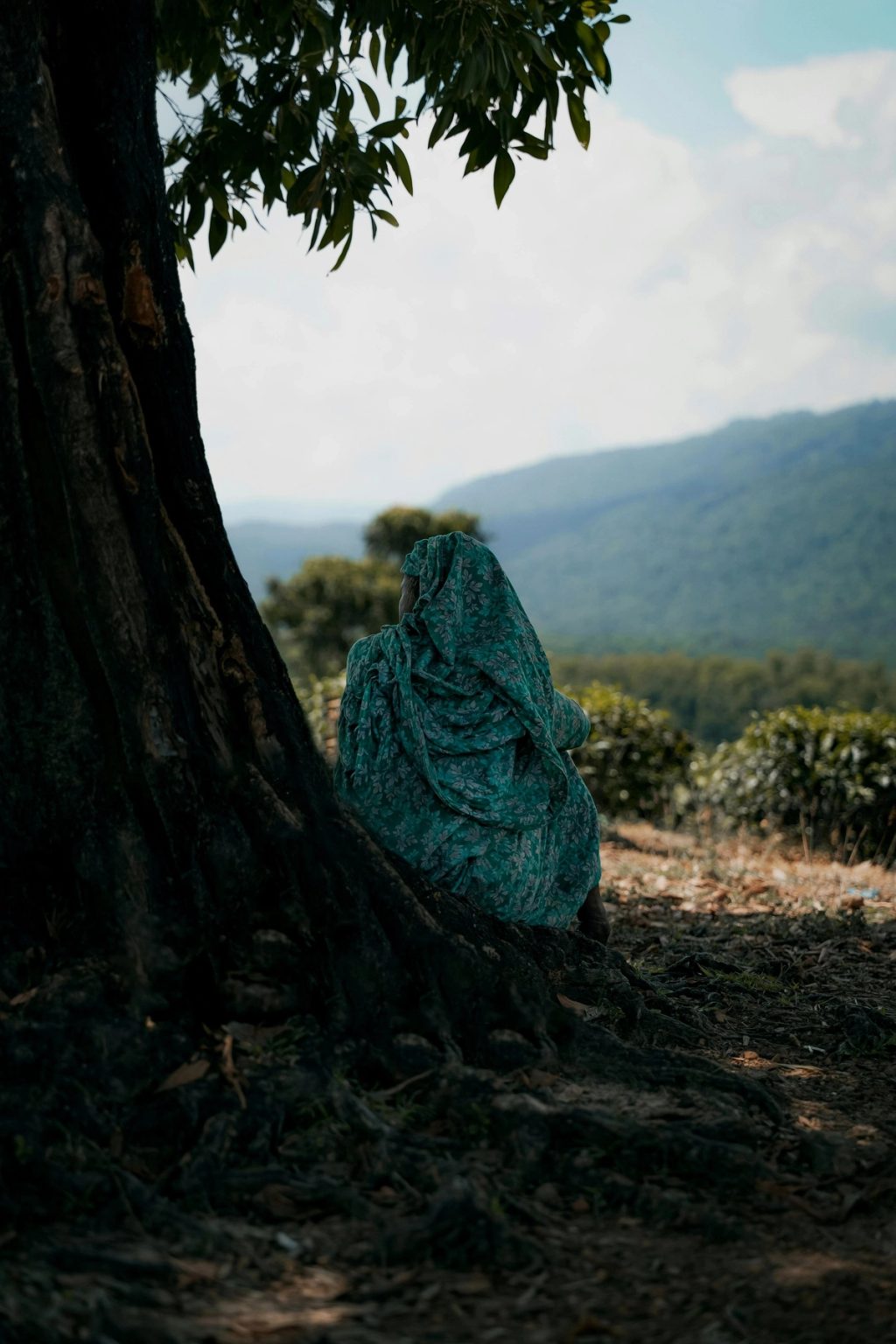 woman sitting on tree
