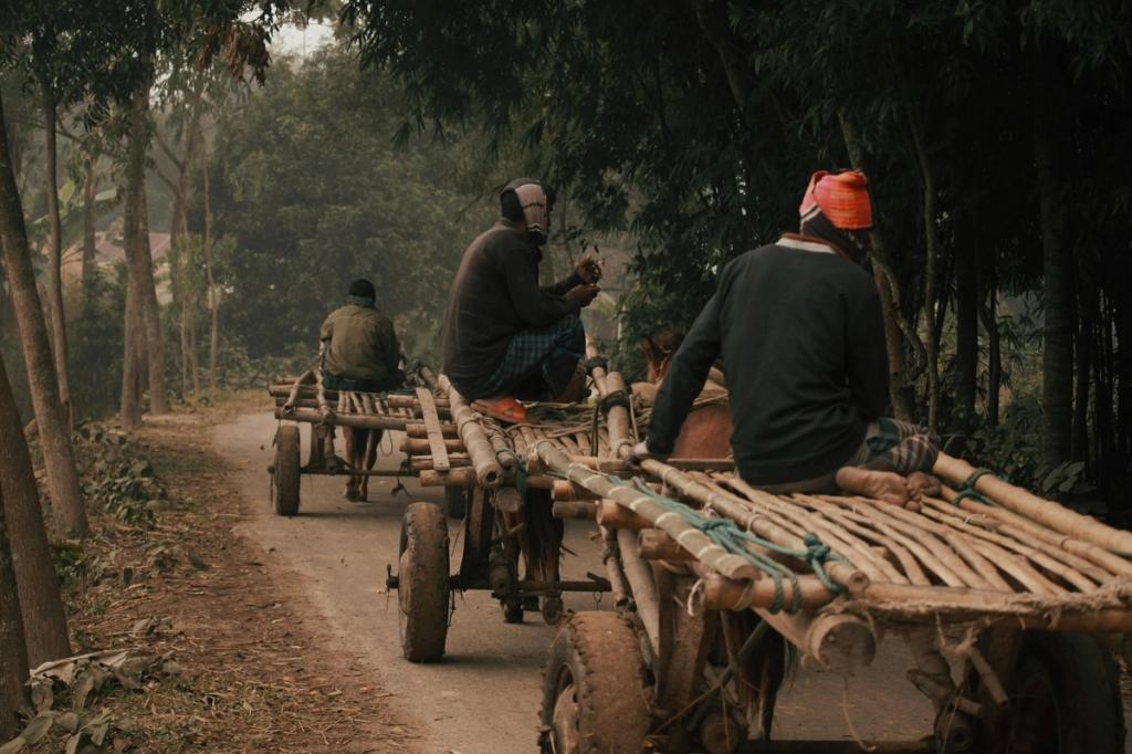 three men on carts transporting bamboo