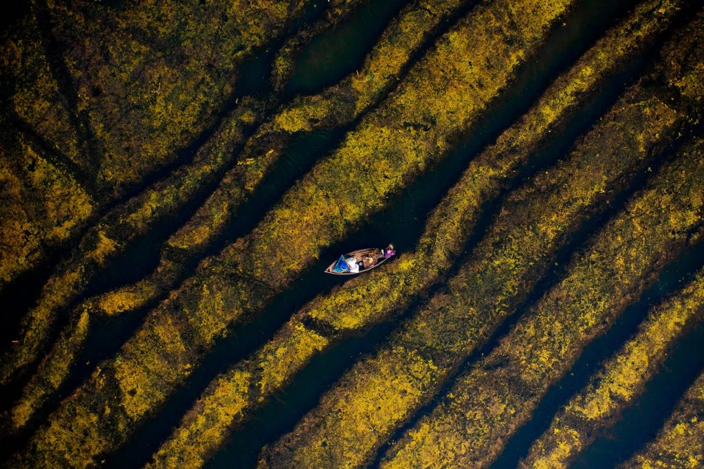 boat in the wetlands