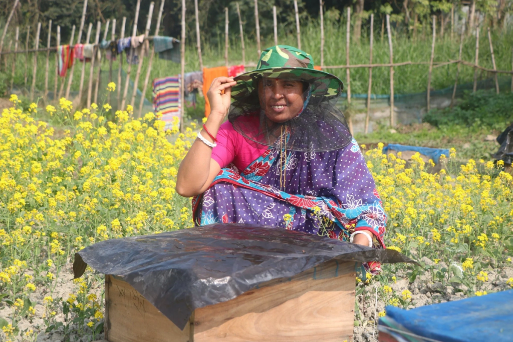 beekeeper in sirajganj