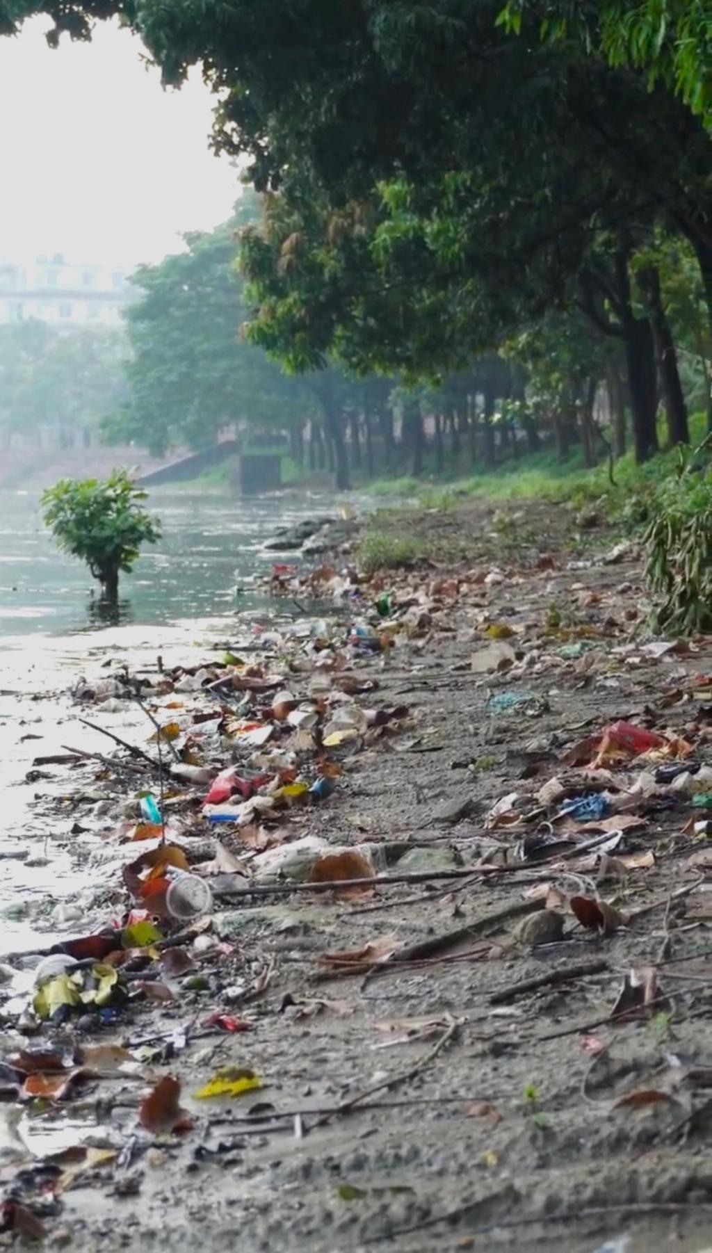 waste on lake edge