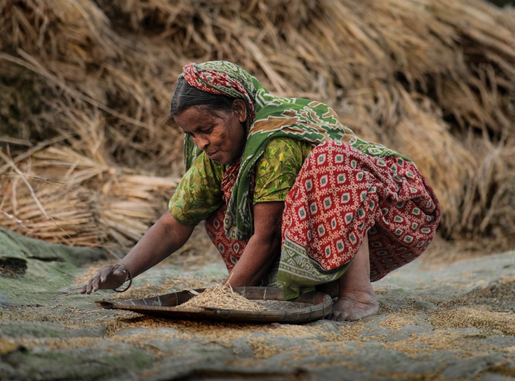 woman in village in Bangladesh sorting rice