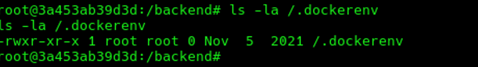 There is a .dockerenv file