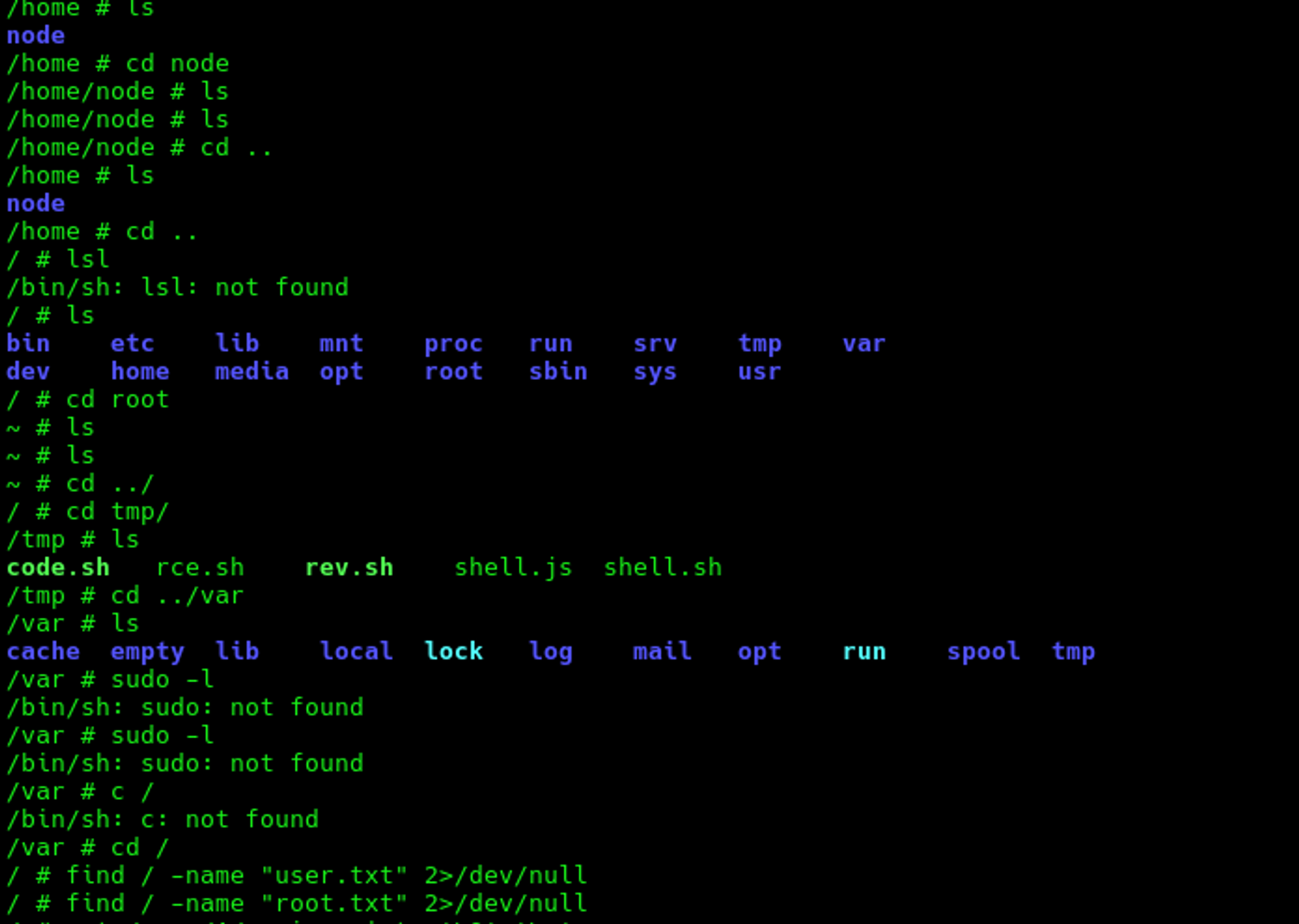 Shell in the Docker container