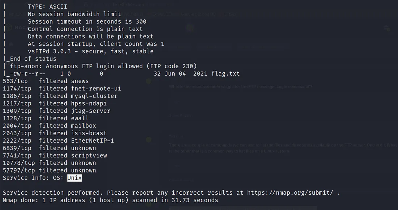 The OS on the target’s server.