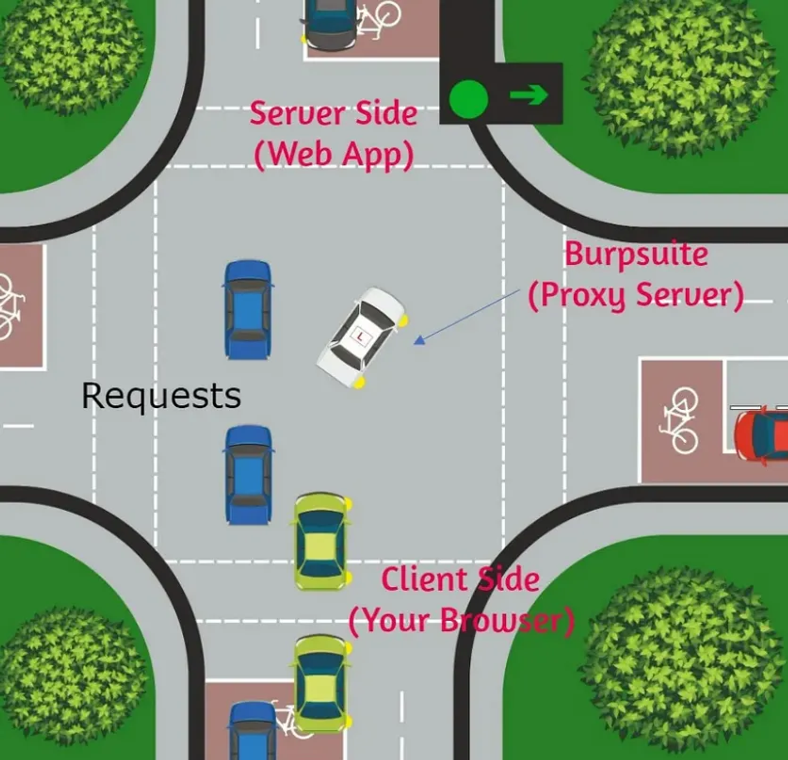 A diagram that describes the role of the web proxy “Burpsuite”