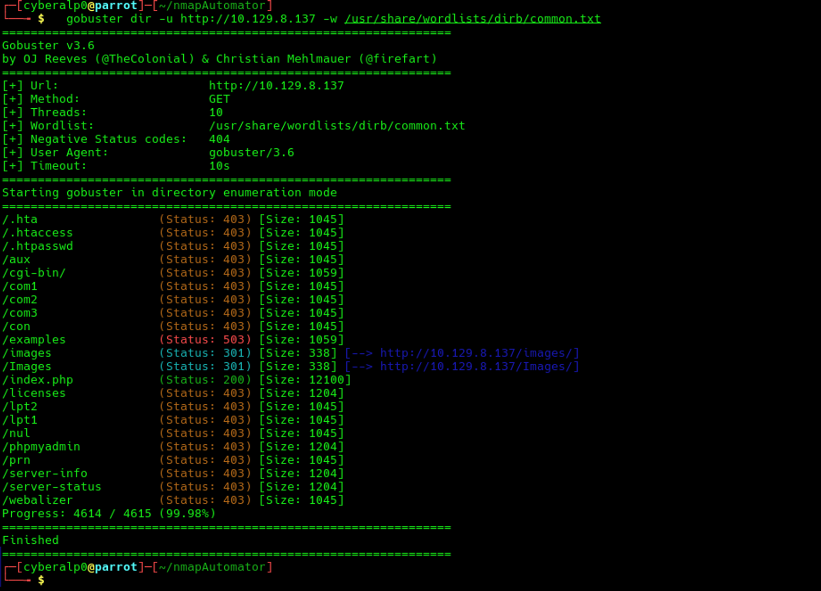 Directory enumeration on the target.