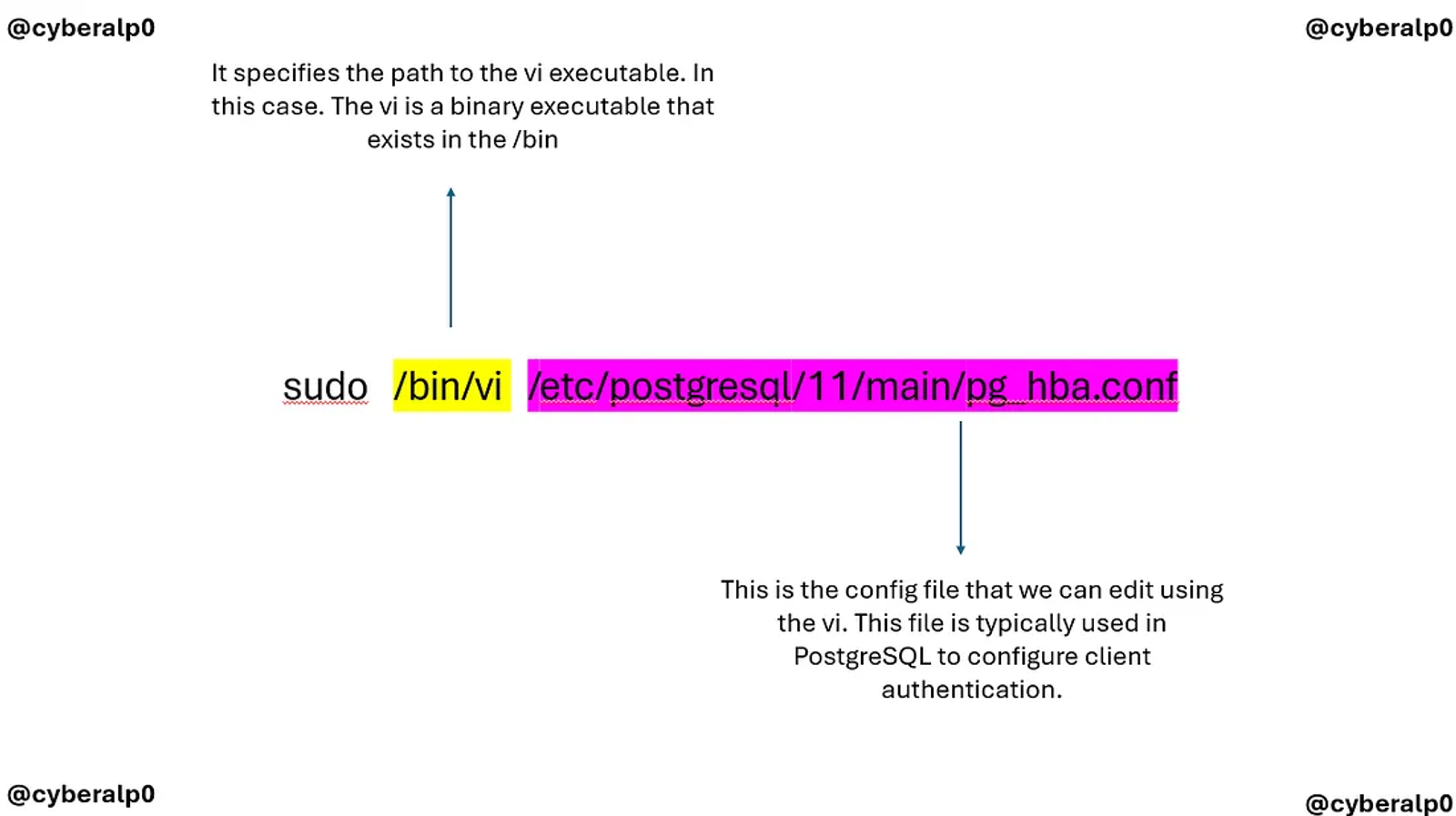 Break down the command that is used to escalate the privileges to a root user.