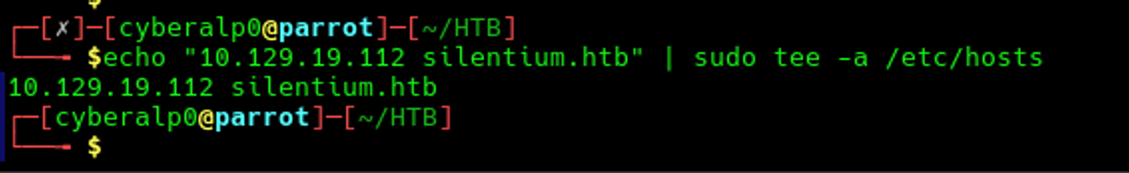 The domain is now resolved in the local DNS server.