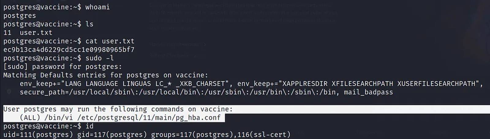 Trying to escalate the privileges from a normal user to a root user by typing sudo -l