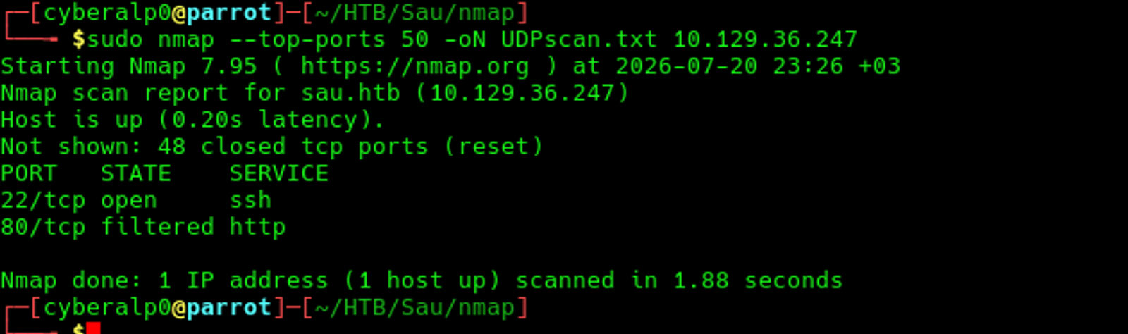 The result of the UDP scan that was conducted on the target's machine. 