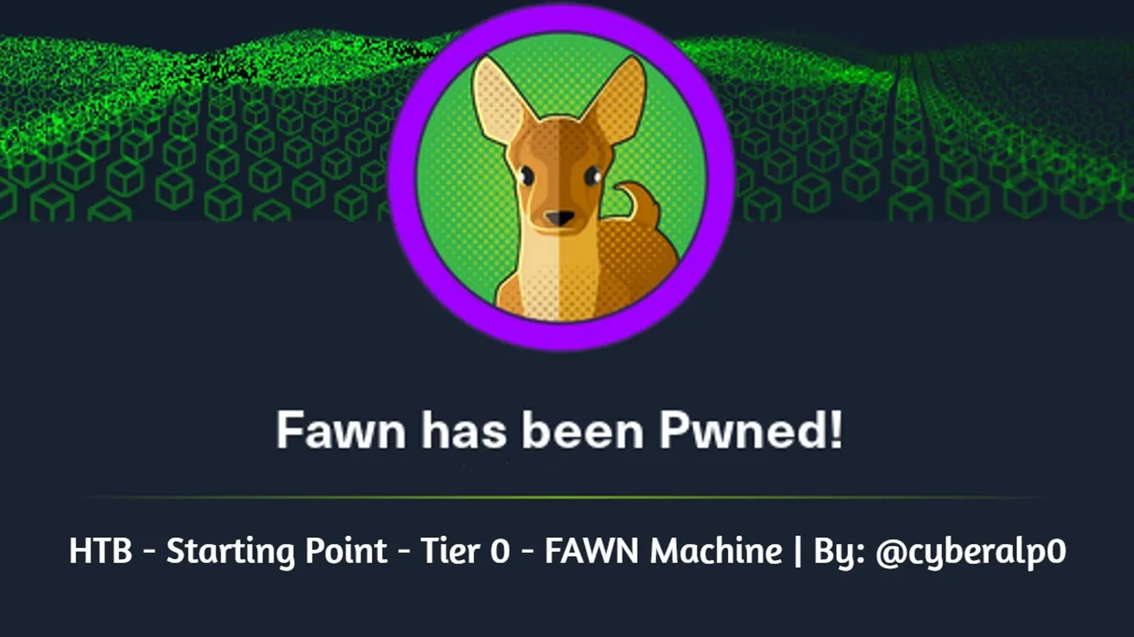 HTB Labs — Tier 0— “Fawn” Machine Walkthrough | By: CyberAlp0