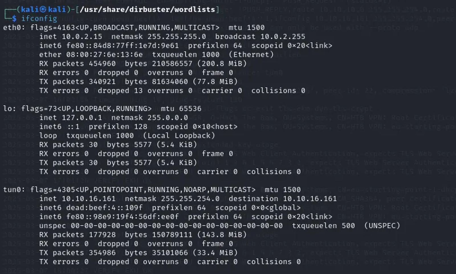 Details about the network interface.