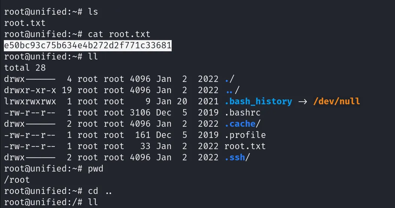 Capturing the root flag.