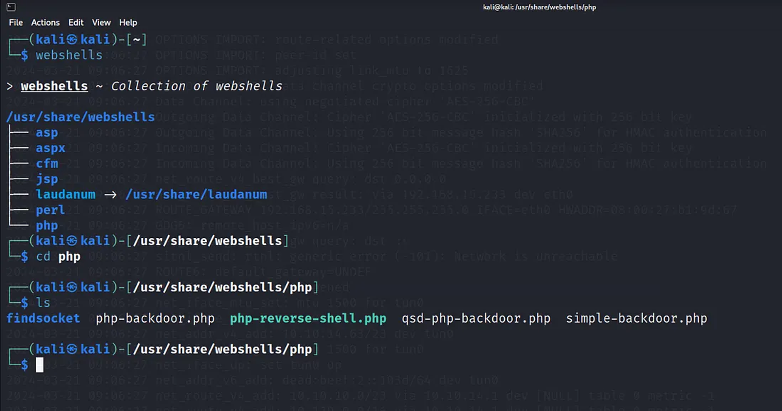 Navigating to the webshells command. it is located in /usr/share.