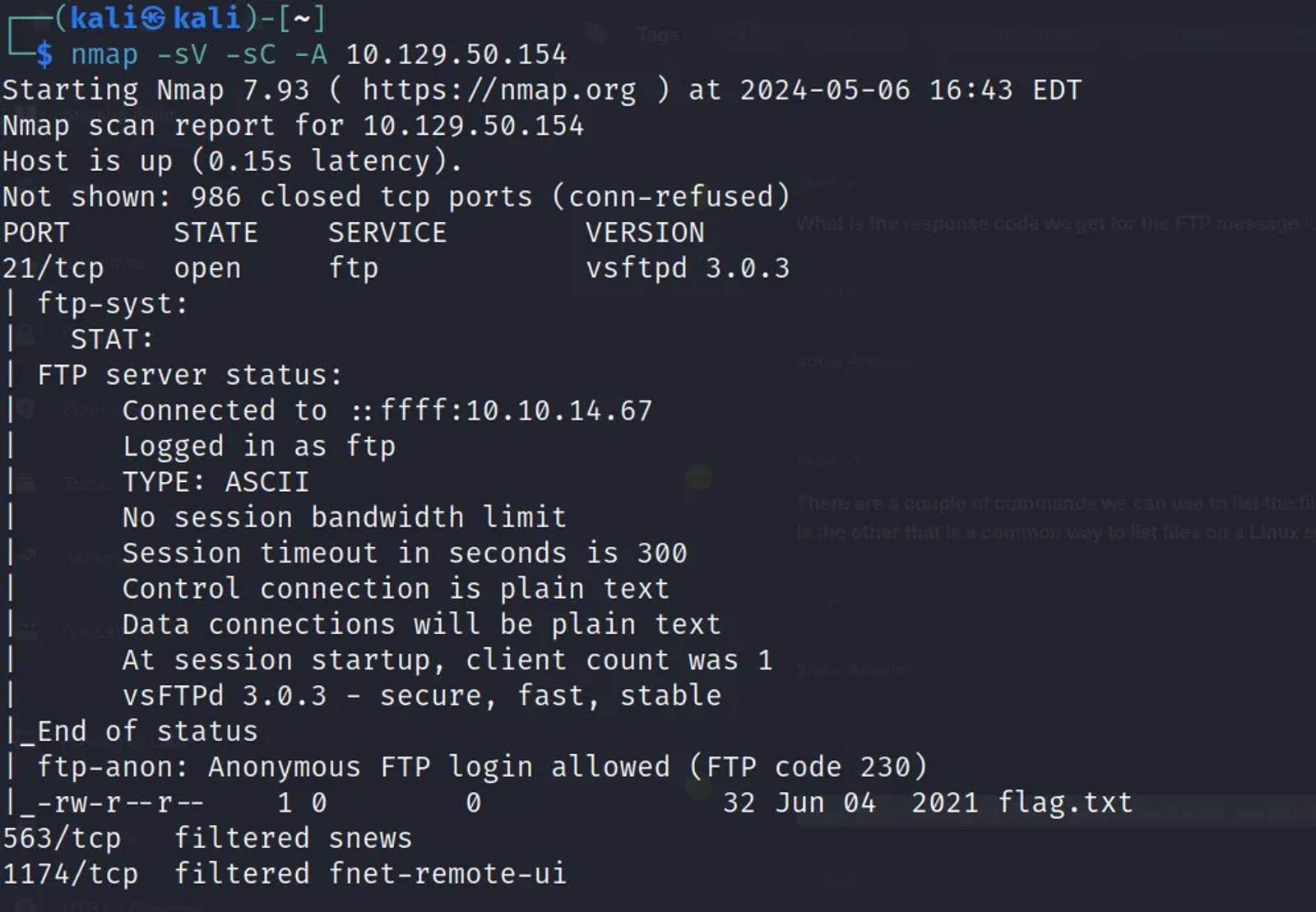 Scanning the target using the Nmap