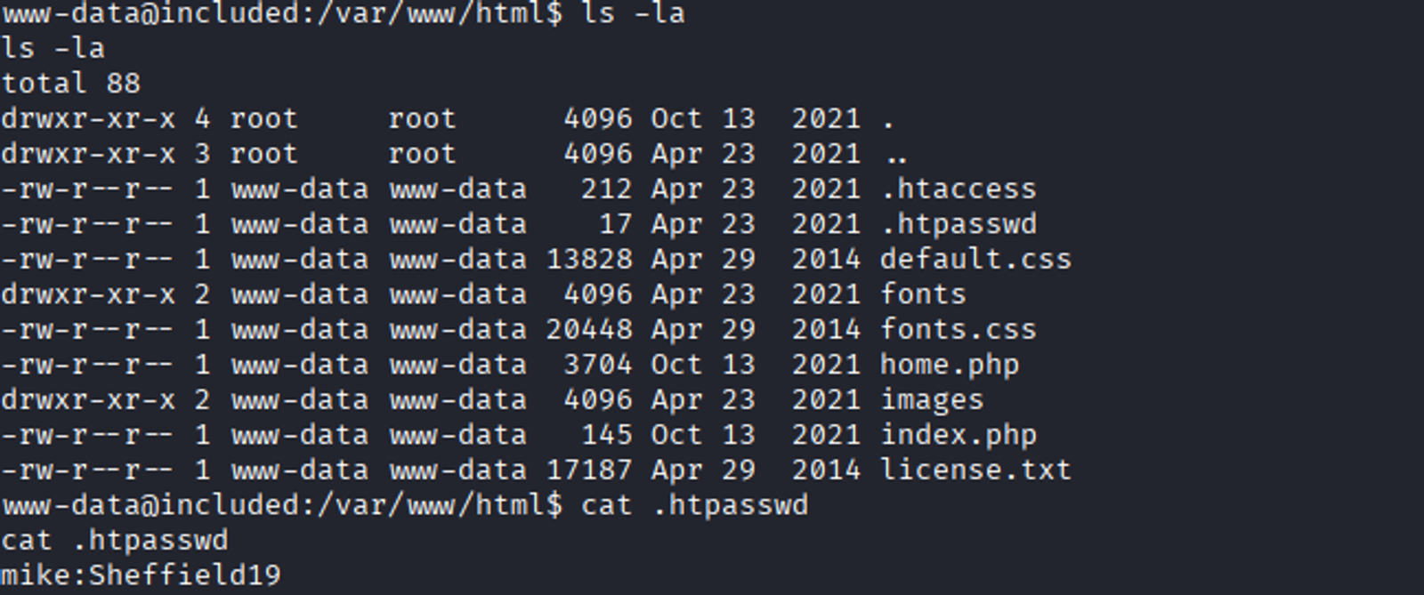 The credentials of a user called mike who we will use as a lateral movement.