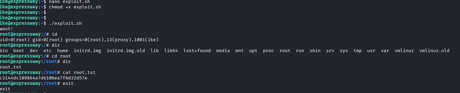 Exploiting the vulnerability and getting the root flag.