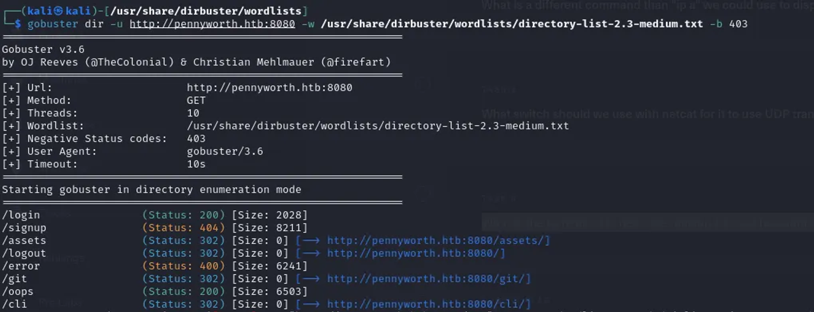 Performing directory fuzzing using gobuster.