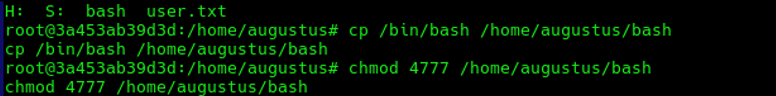 Copying the bash file with its libraries into the shared home directory.