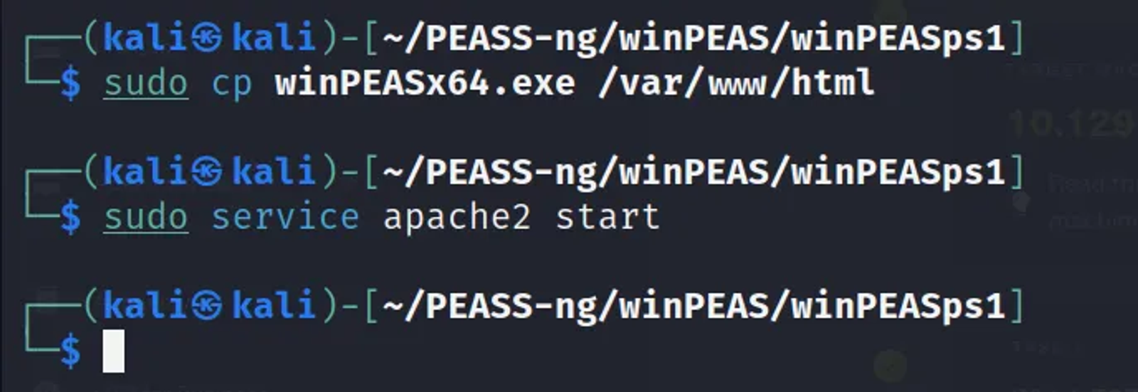 Copying the script to the /var/www/html Directory and initiating the apache2 server